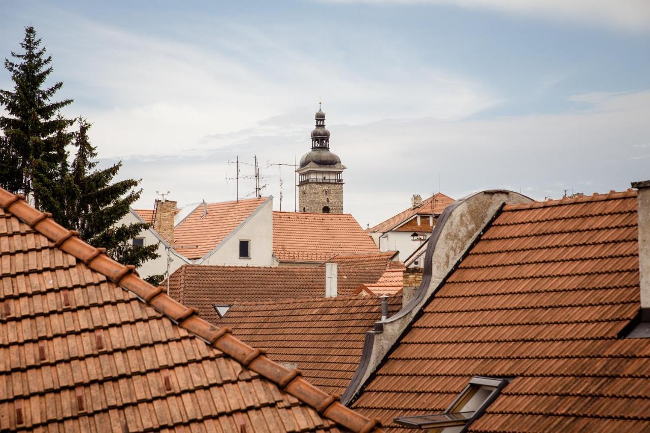 Apartmany Zadni Mlyn Ceske Budejovice Bagian luar foto